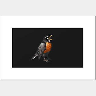 American Robin Posters and Art